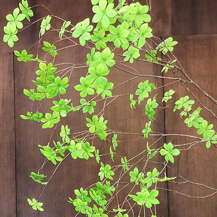 杭州大學(xué)<a href=