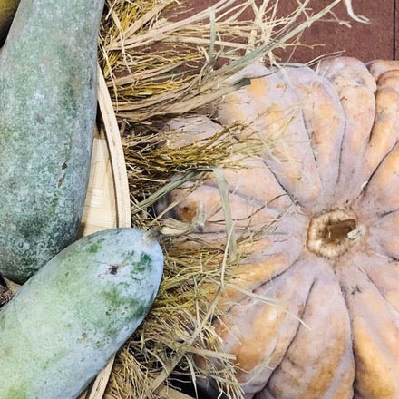 城市環境作品案例展示