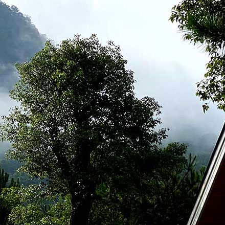 城市環境作品案例展示